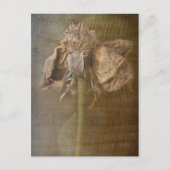 Rozen en Rust nr. 3 Briefkaart (Voorkant)