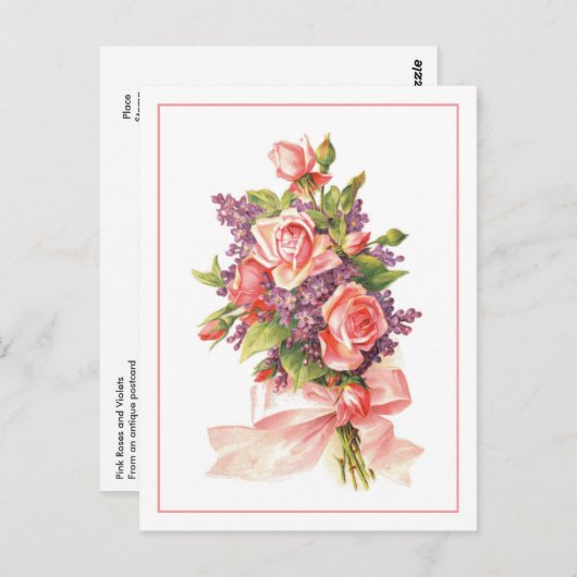 Rozen en Violet roze Briefkaart (Voorkant / Achterkant)