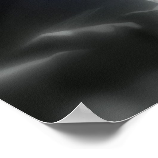 rozen en wilde bloemen poster (Hoek)