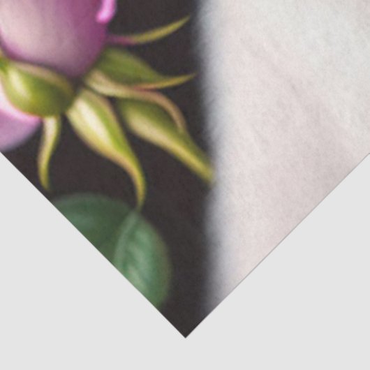 Rozen en witte Collecties Tissuepapier (Detail)