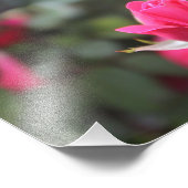 Rozen Foto Afdruk (Hoek)