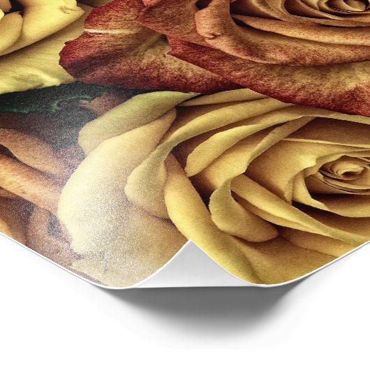  Rozen Foto Afdruk (Hoek)