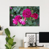 Rozen Foto Poster (Thuiskantoor)