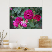 Rozen Foto Poster (Keuken)