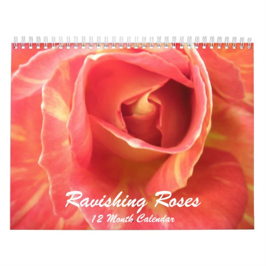Rozen Foto Roos Foto's Bloerkalender Kalender (Hoes)