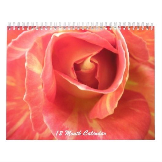 Rozen Foto Roos Foto's Bloerkalender Kalender (Hoes)