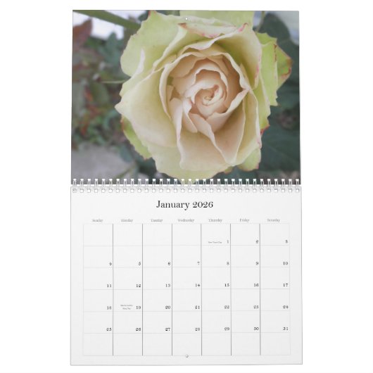 Rozen Foto Roos Foto's Bloerkalender Kalender (Jan 2026)