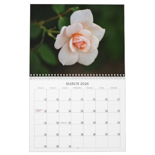 Rozen Fotografie Bloemenkalender Kalender (Mar 2026)