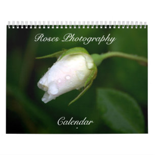 Rozen Fotografie Bloemenkalender Kalender