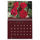 Rozen Fotografie Inspirerende Spreukkalender Kalender (Feb 2027)