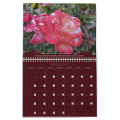 Rozen Fotografie Inspirerende Spreukkalender Kalender (Mar 2027)