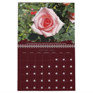 Rozen Fotografie Inspirerende Spreukkalender Kalender