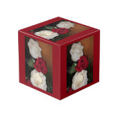 Rozen Fotokubus (Voorkant hoekig)