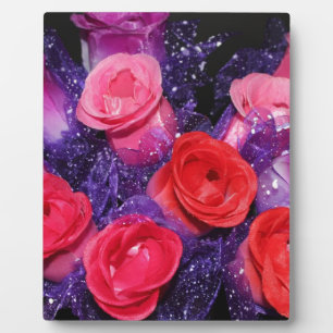 Rozen Fotoplaat