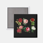 rozen galore magnet (Voorkant / Achterkant)