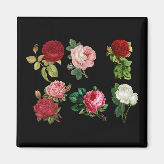 rozen galore magnet (Voorkant)