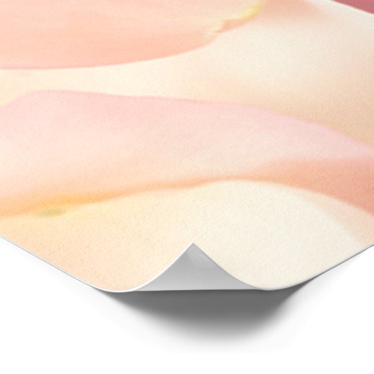 rozen handleidingen AUTOGRAAF POSTER (Hoek)