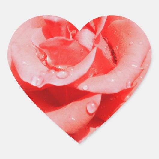 Rozen Hart Sticker (Voorkant)