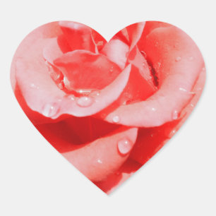 Rozen Hart Sticker