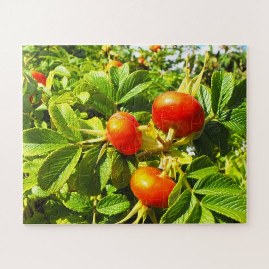 Rozen heupen legpuzzel (Horizontaal)