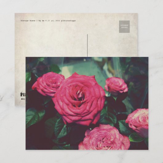  ROZEN I BRIEFKAART (Voorkant / Achterkant)