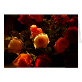 Rozen I - Oranje, Crimson en Gold Glory