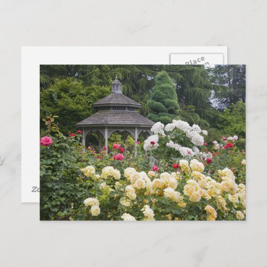 Rozen in bloei en Gazebo Roos Garden bij Briefkaart (Voorkant / Achterkant)