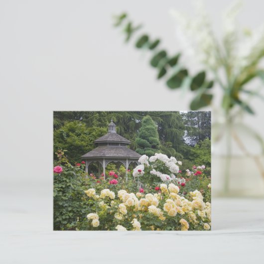 Rozen in bloei en Gazebo Roos Garden bij Briefkaart (Staand voorkant)