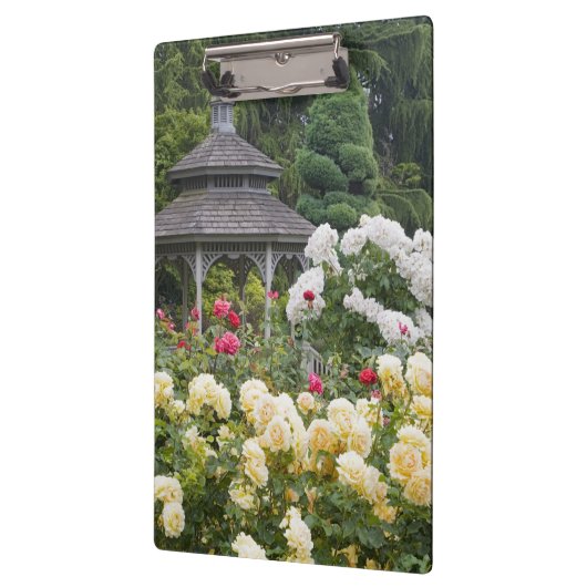 Rozen in bloei en Gazebo Roos Garden bij Klembord (Links)