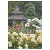 Rozen in bloei en Gazebo Roos Garden bij Klembord (Achterkant)