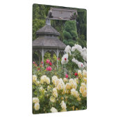 Rozen in bloei en Gazebo Roos Garden bij Klembord (Rechts)