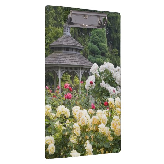 Rozen in bloei en Gazebo Roos Garden bij Klembord (Rechts)