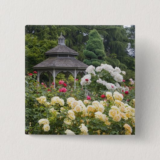 rozen in bloei en prieel rozentuin bij de vierkante button 5,1 cm (Voorkant)