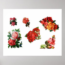 Rozen in Bloom Poster