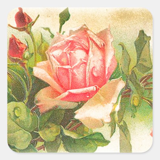 Rozen in Bloom Vierkante Sticker (Voorkant)