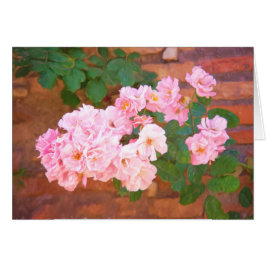 Rozen in het bloom in Rome , Italië in het nat