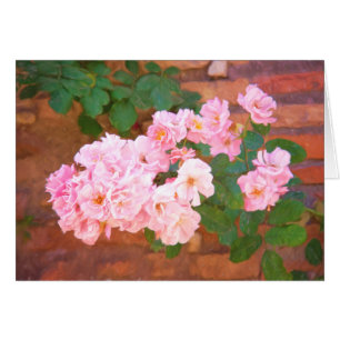 Rozen in het bloom in Rome , Italië in het nat