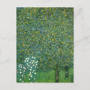 Rozen in het kader van de Trees Cute Briefkaart
