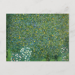 Rozen in het kader van de Trees Cute Briefkaart