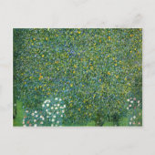 Rozen in het kader van de Trees Cute Briefkaart (Voorkant)