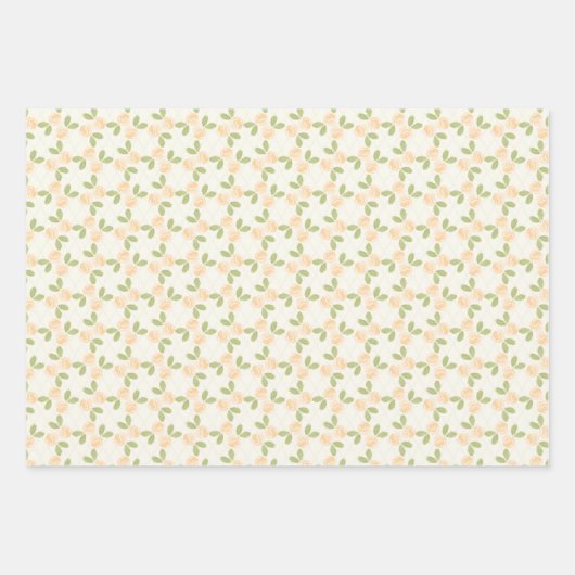 Rozen in licht oranje inpakpapier vel (Voorkant 2)