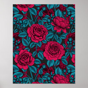 Rozen in rood en blauw poster