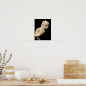 Rozen in sepia tint poster (Keuken)