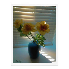 Rozen in zonlicht (2) foto afdruk