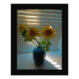 Rozen in zonlicht - foto afdruk