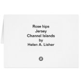 Rozen, Jersey-kaart (Achterkant Horizontaal)