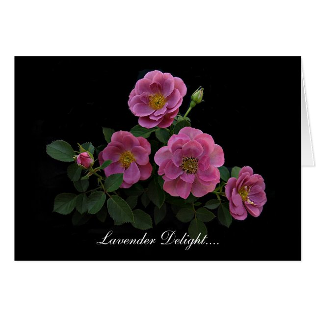 Rozen kaarten van Stan The Roseman (Voorkant Horizontaal)