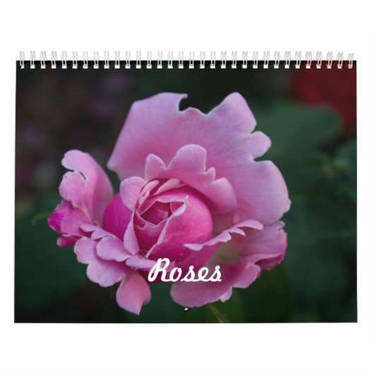 Rozen Kalender (Hoes)