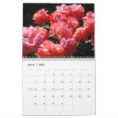 ROZEN KALENDER Zoete ROZE ROOS BLOEMEN (Mar 2027)