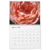 ROZEN KALENDER Zoete ROZE ROOS BLOEMEN (Feb 2027)